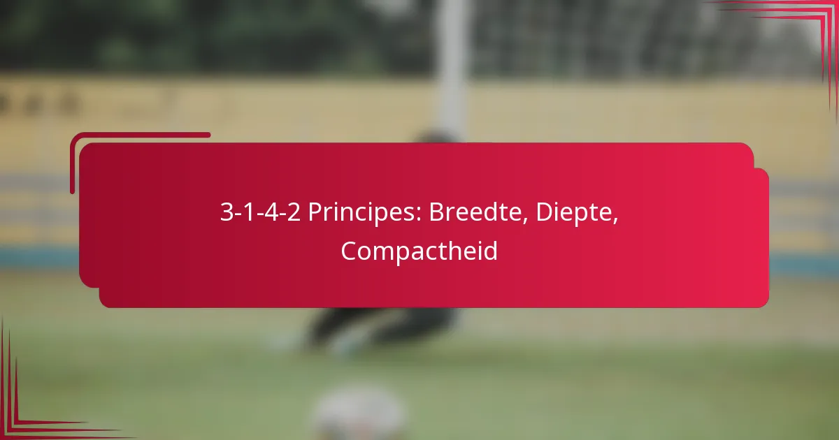3-1-4-2 Principes: Breedte, Diepte, Compactheid