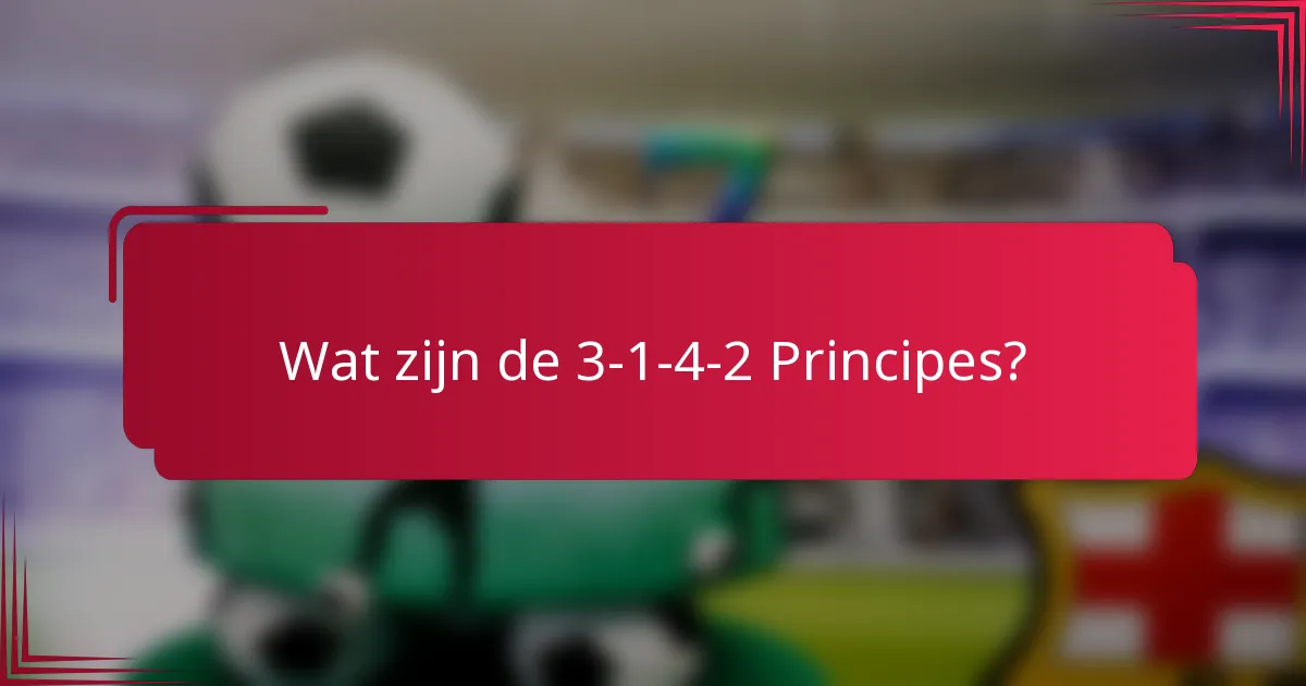 Wat zijn de 3-1-4-2 Principes?